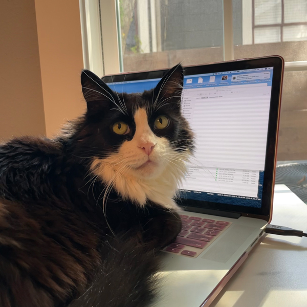 Black and white cat laying on computer keyboard