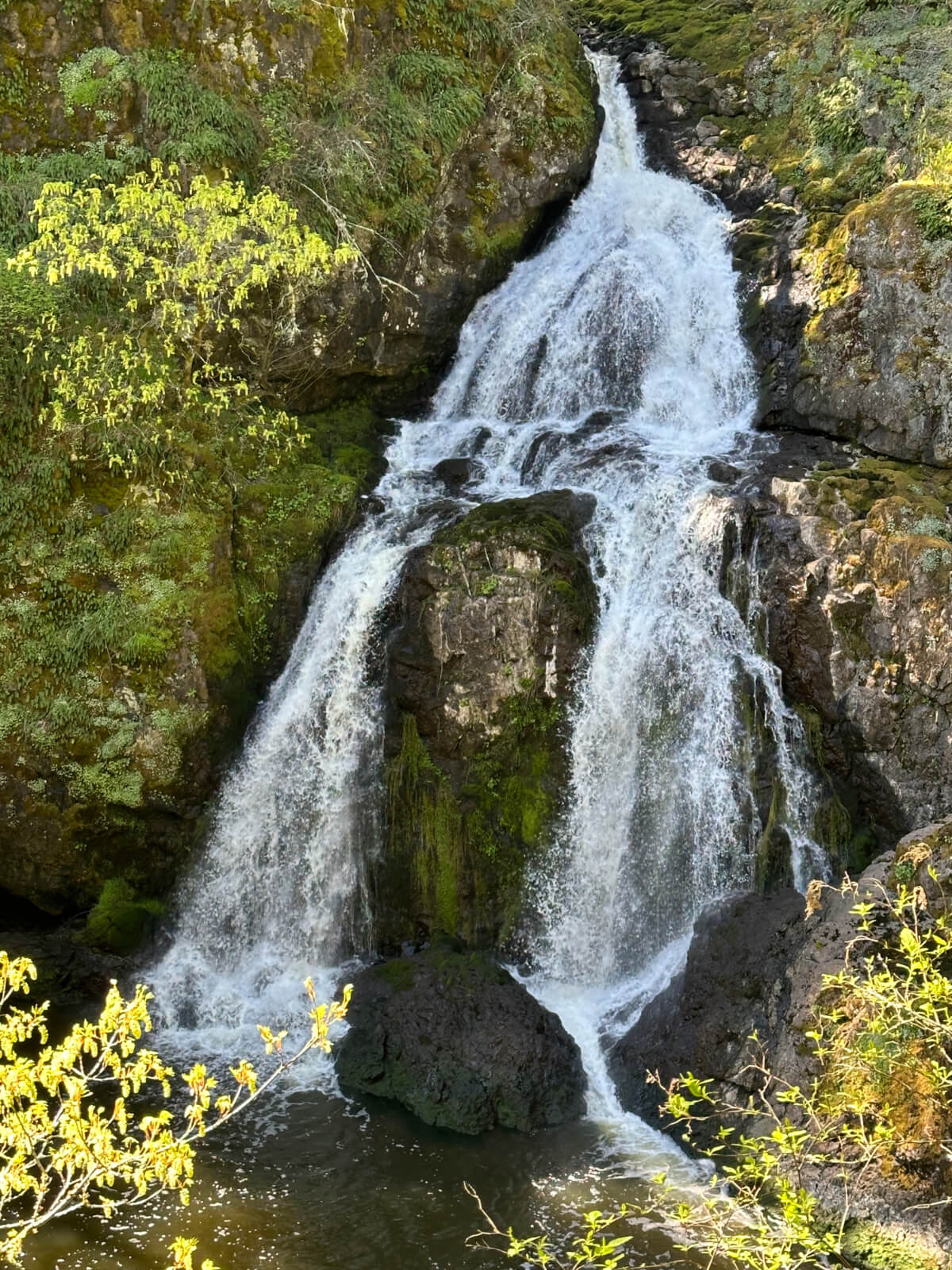 Photo of a medium-sized waterfall coming down some rocks with trees and bushes on either side
