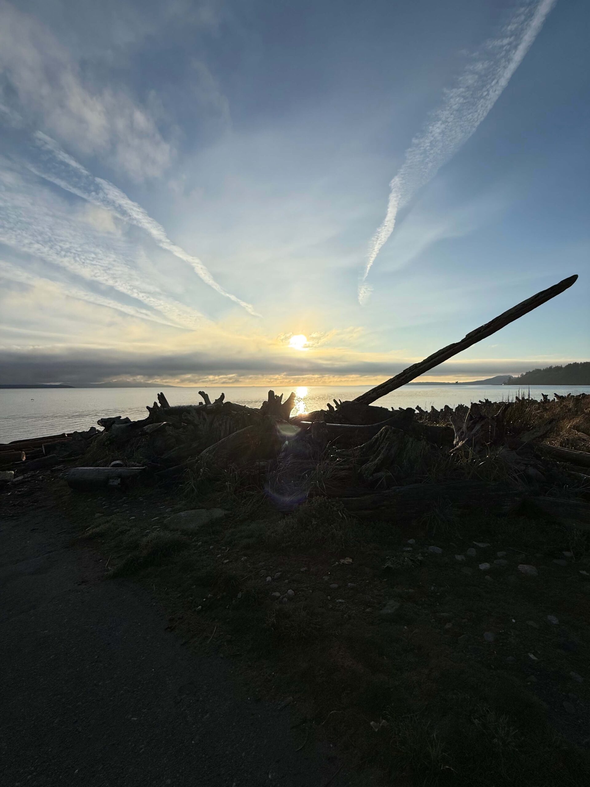A beach photo with logs and rocks and the rising sun in the background