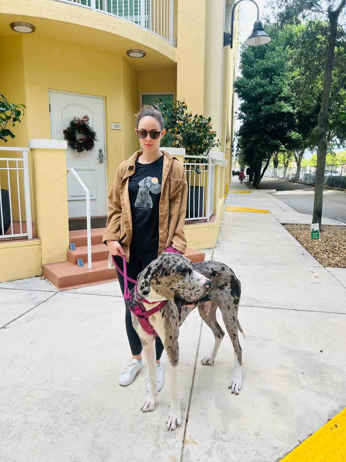 Raychel Lean walking with Venus the Great Dane.